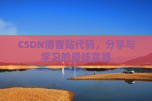 CSDN博客贴代码，分享与学习的最佳实践
